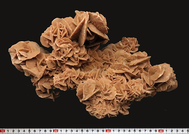 博物館級のビッグサイズ！モロッコ産の砂漠のバラ、デザートローズ（Desert Rose）（その8）