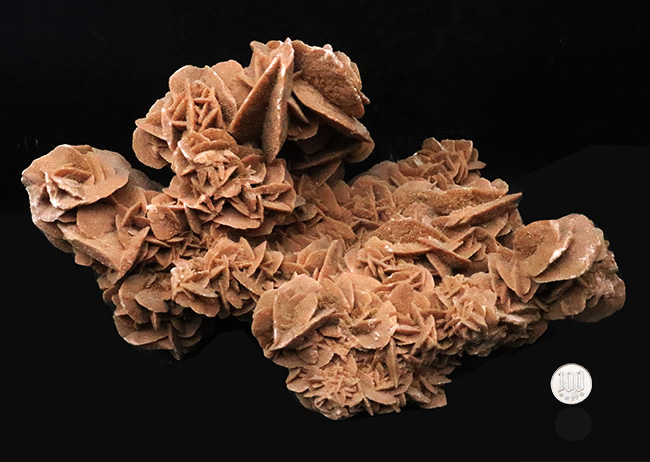 博物館級のビッグサイズ！モロッコ産の砂漠のバラ、デザートローズ（Desert Rose）（その9）