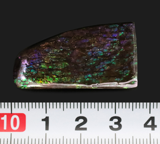 希少な寒色系の色が見られる!化石であり宝石でもあるアンモライト(Ammolite)のピース(その6)