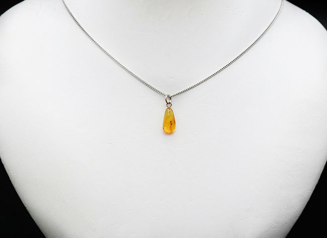 ルーペ必須!3匹の虫を内包したバルト海産琥珀(Amber)を使ったペンダントトップ(シルバーチェーン、高級ジュエリーケース付き。)(その2)