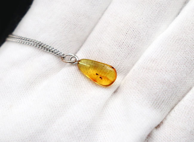 ルーペ必須!3匹の虫を内包したバルト海産琥珀(Amber)を使ったペンダントトップ(シルバーチェーン、高級ジュエリーケース付き。)(その3)