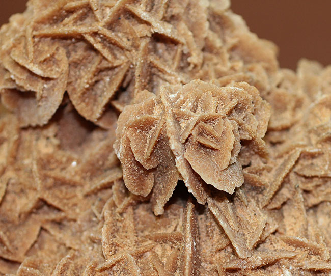 ラージクリスタル、デザートローズ(Desert rose)こと砂漠のバラ(その4)