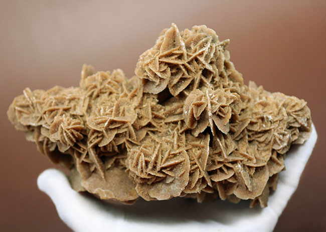 ラージクリスタル、デザートローズ(Desert rose)こと砂漠のバラ(その5)