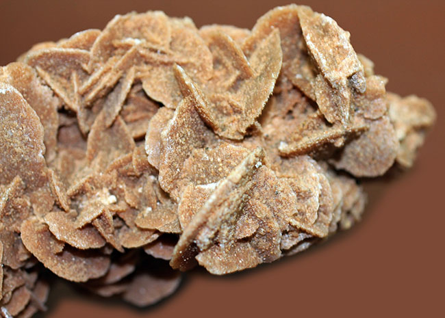 ラージクリスタル、デザートローズ(Desert rose)こと砂漠のバラ(その6)