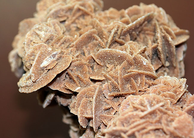 ラージクリスタル、デザートローズ(Desert rose)こと砂漠のバラ(その7)