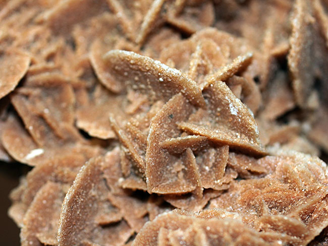 ラージクリスタル、デザートローズ(Desert rose)こと砂漠のバラ 鉱物 販売