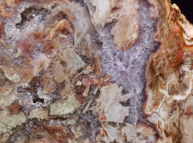 大結晶あり、潜晶質の結晶あり！約２億５千万年前の樹木の幹が宝石化した化石、珪化木（Petrified wood）（その8）