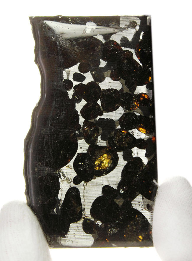 世界で最も美しい隕石とされる石鉄隕石、パラサイト（本体防錆処理済み）。２０１６年に新たに発見されたケニア共和国セリコ産。（その1）