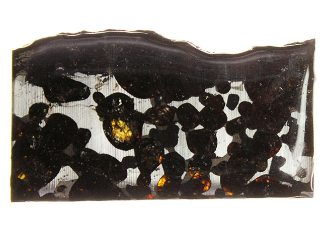 世界で最も美しい隕石とされる石鉄隕石、パラサイト（本体防錆処理済み）。２０１６年に新たに発見されたケニア共和国セリコ産。（その2）