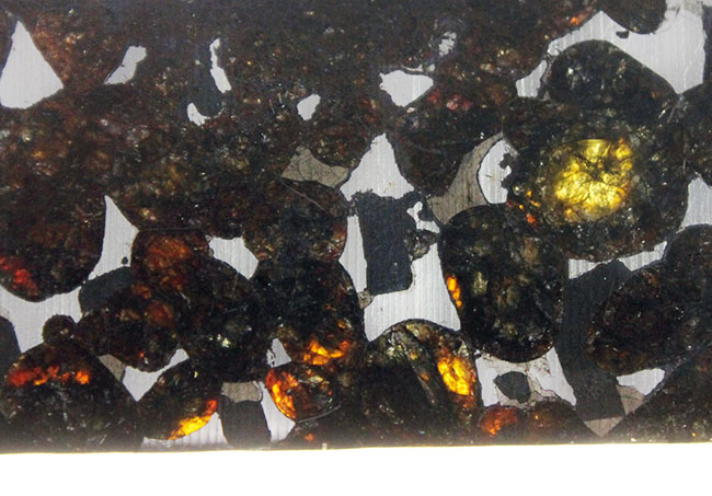 世界で最も美しい隕石とされる石鉄隕石、パラサイト（本体防錆処理済み）。２０１６年に新たに発見されたケニア共和国セリコ産。（その5）