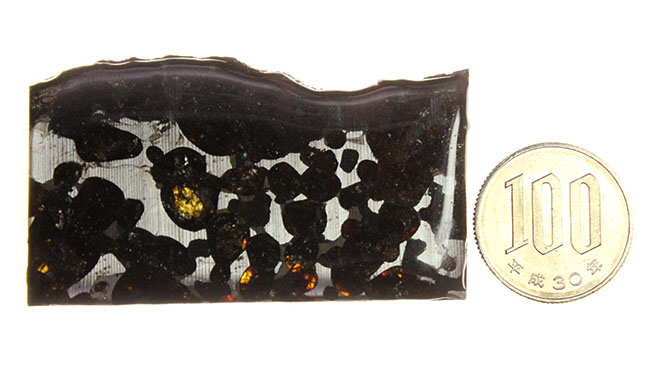 世界で最も美しい隕石とされる石鉄隕石、パラサイト（本体防錆処理済み