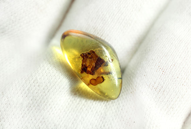 ドミニカ産のブルーアンバー(Amber)専用ケースと紫外線ライトの2点付き。(その5)