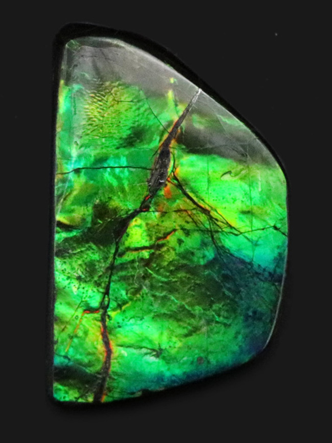 目にも鮮やかなグリーンを呈する宝石、アンモライト(Ammolite)のピース(その1)