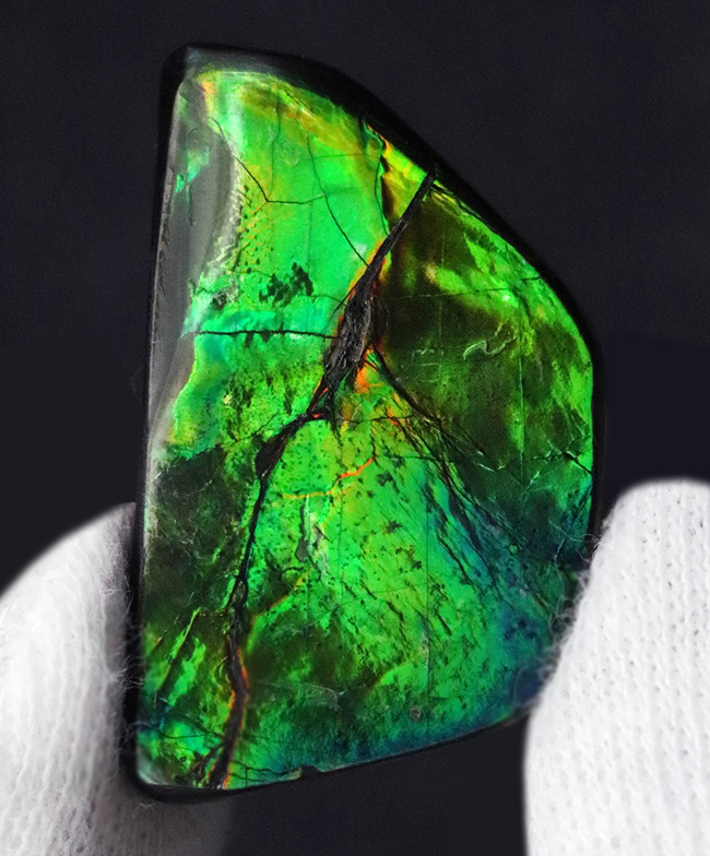 目にも鮮やかなグリーンを呈する宝石、アンモライト（Ammolite）のピース（その2）