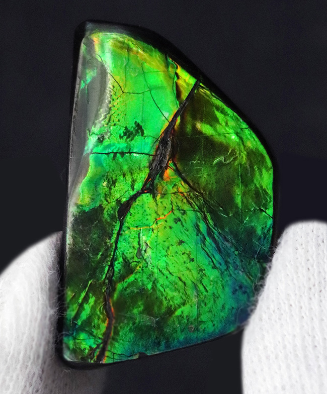 目にも鮮やかなグリーンを呈する宝石、アンモライト(Ammolite)のピース(その2)