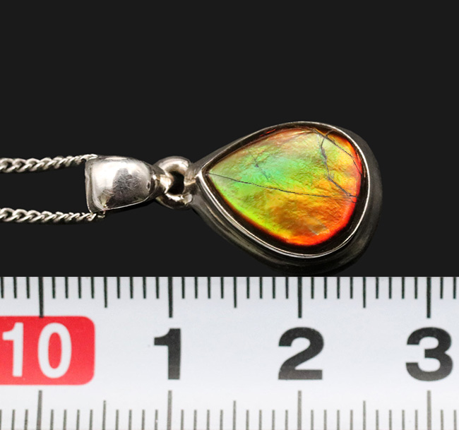 遊色アンモナイトの王様、カナダ産のアンモ”ラ”イト（Ammolite）を使った、ティアドロップ型のペンダントトップ。金具はスターリングシルバー。（シルバーチェーン、革紐、ジュエリーケース付き）（その8）