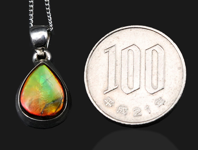 遊色アンモナイトの王様、カナダ産のアンモ”ラ”イト(Ammolite)を使った、ティアドロップ型のペンダントトップ。金具はスターリングシルバー。(シルバーチェーン、革紐、ジュエリーケース付き)(その9)