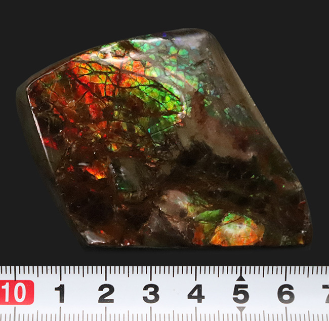 希少色とされるブルーやパープルも見られる希少なアンモライト（Ammolite）のピース（その8）