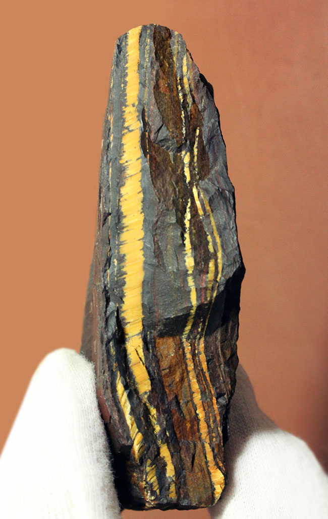 ベリーベリーレア！極めて古い３５億年前の黄金に光るストロマトライト（Stromatolite）（その1）