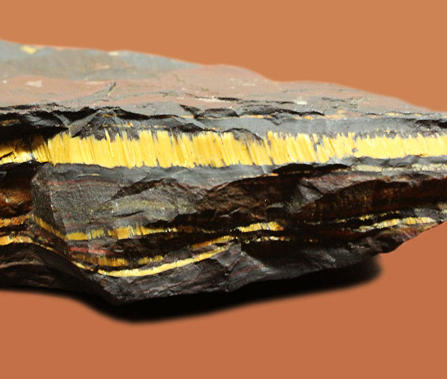 ベリーベリーレア！極めて古い３５億年前の黄金に光るストロマトライト（Stromatolite）（その4）