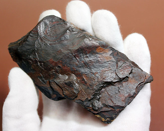 ベリーベリーレア！極めて古い３５億年前の黄金に光るストロマトライト（Stromatolite）（その5）