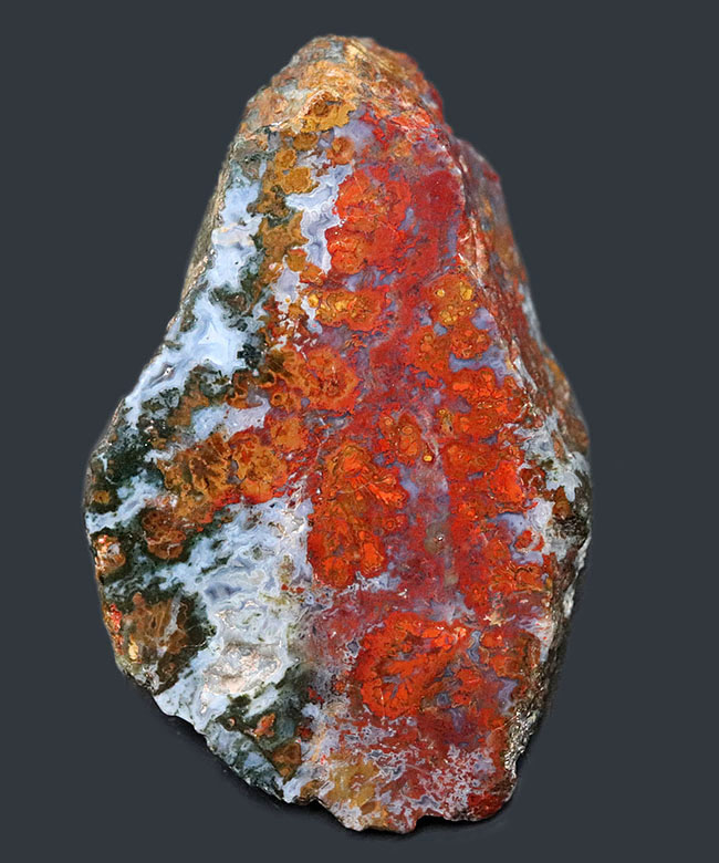 素晴らしい赤、そしてグレイッシュブルー!ストロマトライトを含むハンガリー産の朱いメノウ(Agate)(その1)