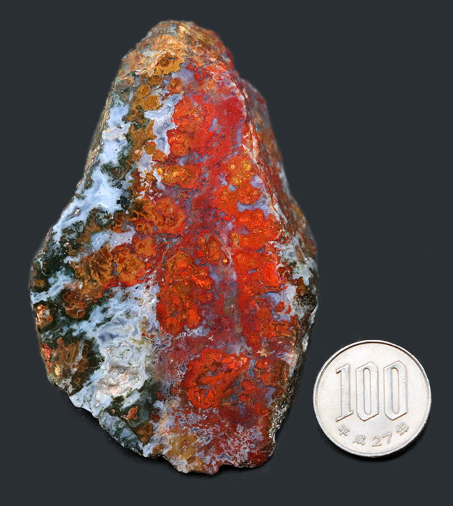 素晴らしい赤、そしてグレイッシュブルー!ストロマトライトを含むハンガリー産の朱いメノウ(Agate)(その10)