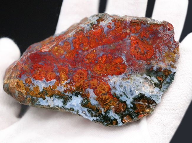 素晴らしい赤、そしてグレイッシュブルー!ストロマトライトを含むハンガリー産の朱いメノウ(Agate)(その2)