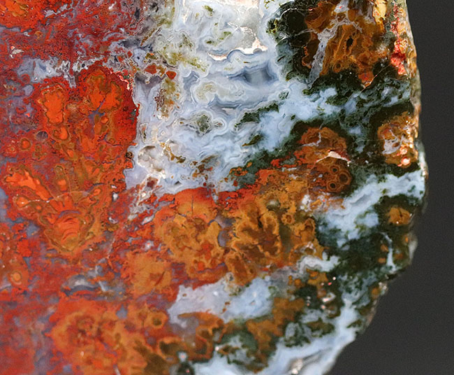 素晴らしい赤、そしてグレイッシュブルー!ストロマトライトを含むハンガリー産の朱いメノウ(Agate)(その3)