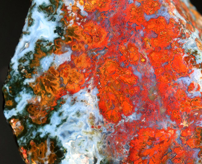 素晴らしい赤、そしてグレイッシュブルー!ストロマトライトを含むハンガリー産の朱いメノウ(Agate)(その4)