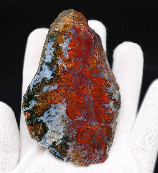 素晴らしい赤、そしてグレイッシュブルー!ストロマトライトを含むハンガリー産の朱いメノウ(Agate)(その5)