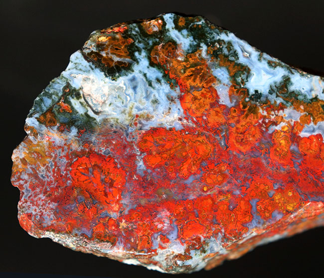 素晴らしい赤、そしてグレイッシュブルー!ストロマトライトを含むハンガリー産の朱いメノウ(Agate)(その7)