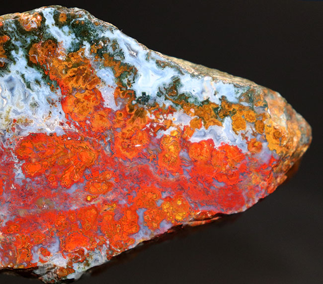 素晴らしい赤、そしてグレイッシュブルー!ストロマトライトを含むハンガリー産の朱いメノウ(Agate)(その8)