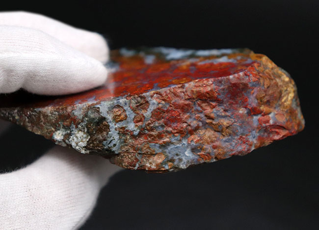 素晴らしい赤、そしてグレイッシュブルー!ストロマトライトを含むハンガリー産の朱いメノウ(Agate)(その9)