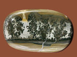 珍妙かつ希少な大理石、コサムマーブル。英国の特定地域でしか採集されない「風景大理石」