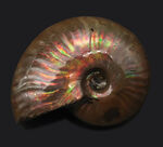 お客様の声　写真