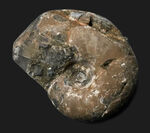 お客様の声　写真