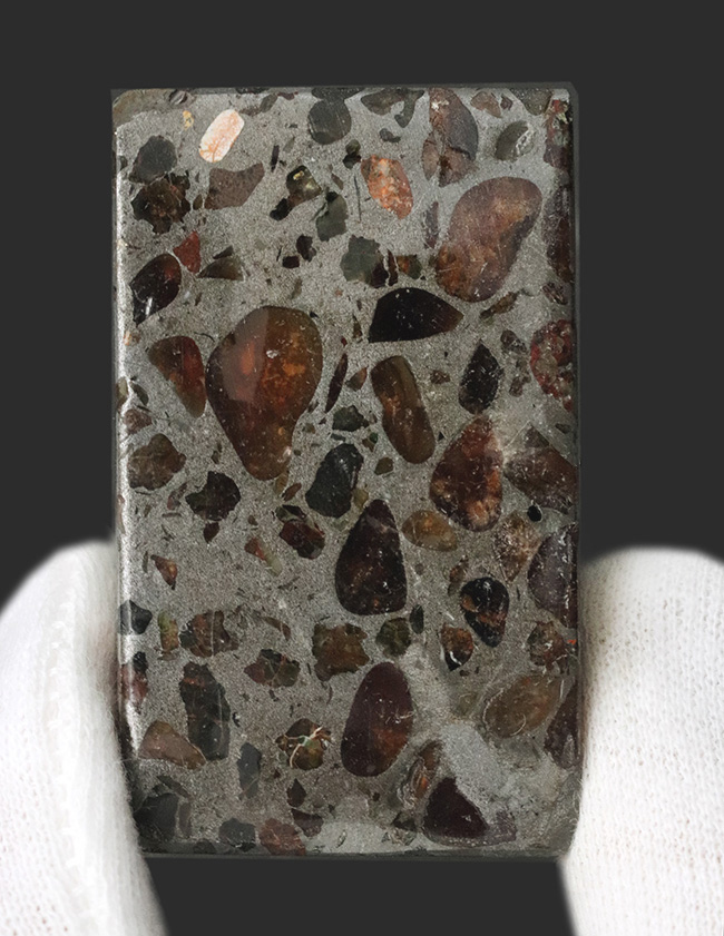 数ある角柱標本のなかでも、とりわけ重量感あふれる、ずっしりと重いパラサイト（Pallasite）隕石（その1）