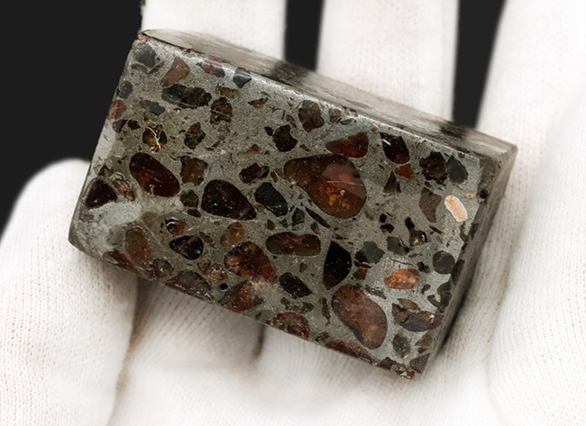 数ある角柱標本のなかでも、とりわけ重量感あふれる、ずっしりと重いパラサイト（Pallasite）隕石（その3）