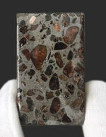 数ある角柱標本のなかでも、とりわけ重量感あふれる、ずっしりと重いパラサイト（Pallasite）隕石