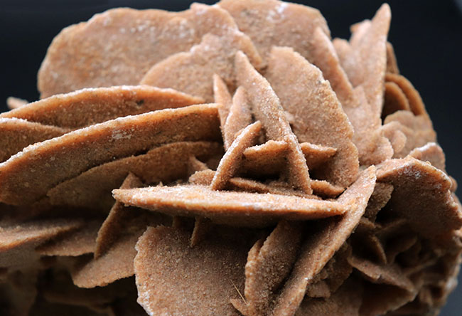 その昔海が存在していた証拠とされる、砂漠のバラ(Desert Rose)。1キログラムを超える、立派な標本(その6)