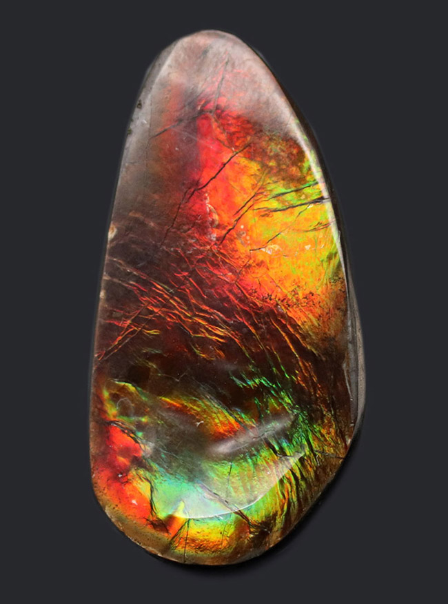 自然物のナチュラルなフォルムを活かした、アンモライト（Ammolite）を使ったピンブローチ。おしゃれのワンポイントにお役立てください。（その1）