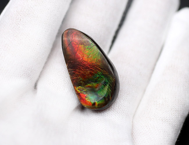 自然物のナチュラルなフォルムを活かした、アンモライト（Ammolite）を使ったピンブローチ。おしゃれのワンポイントにお役立てください。（その2）