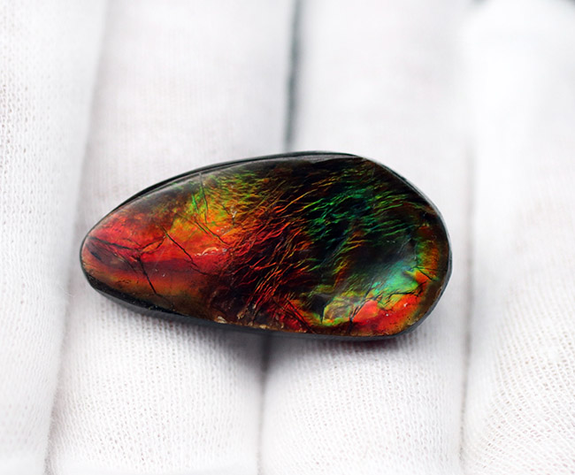 自然物のナチュラルなフォルムを活かした、アンモライト（Ammolite）を使ったピンブローチ。おしゃれのワンポイントにお役立てください。（その3）