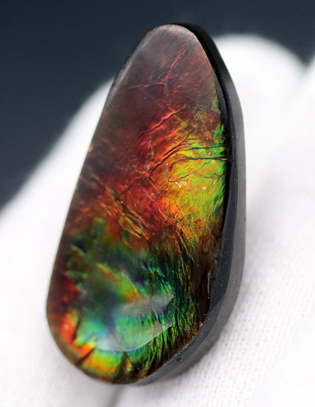 自然物のナチュラルなフォルムを活かした、アンモライト（Ammolite）を使ったピンブローチ。おしゃれのワンポイントにお役立てください。（その4）