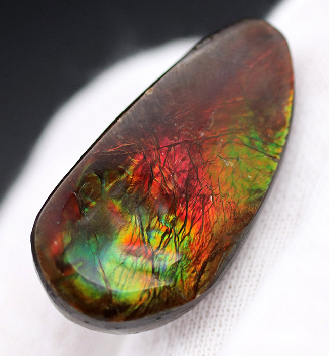 自然物のナチュラルなフォルムを活かした、アンモライト（Ammolite）を使ったピンブローチ。おしゃれのワンポイントにお役立てください。（その5）