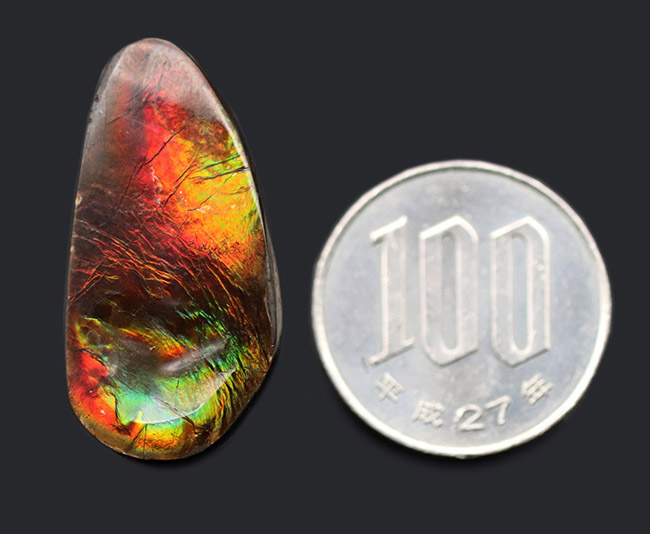 自然物のナチュラルなフォルムを活かした、アンモライト（Ammolite）を使ったピンブローチ。おしゃれのワンポイントにお役立てください。（その9）