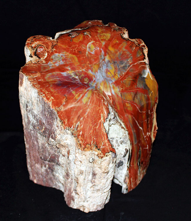 珪化木、木の化石 アリゾナ州産 重量は約15kg 台座約3kg、合計約18kg 珪化木、木の化石 アリゾナ州産 重量は約15kg 台座約3kg、合計約18kg