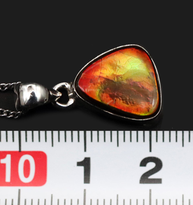 多彩な色が見られます!ワンランク上の輝き。赤やオレンジ、グリーン色を奏でるアンモライト(Ammolite)ペンダントトップ。(チェーン、革紐、ジュエリーケース付き)(その7)