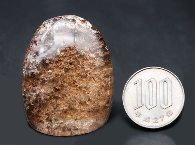 水晶のなかに謎のもの とても珍しい水晶 °˖✧曲がり水晶✧˖° | MENOYA